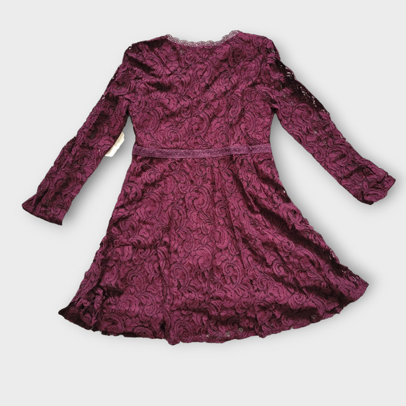 Altar'd State Calysta Burgundy Floral Lace Embroidered Long Sleeve Mini Dress M - Picture 6 of 7